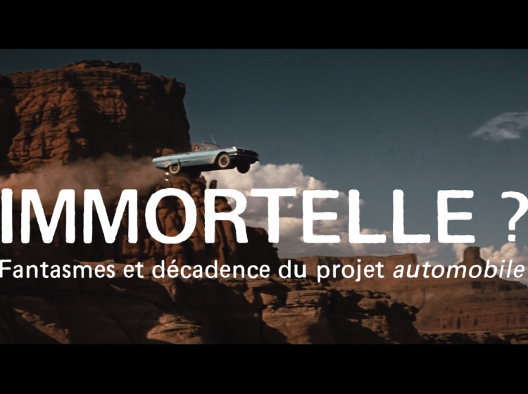 vue du teaser de la résidence Immortelle ? [...]